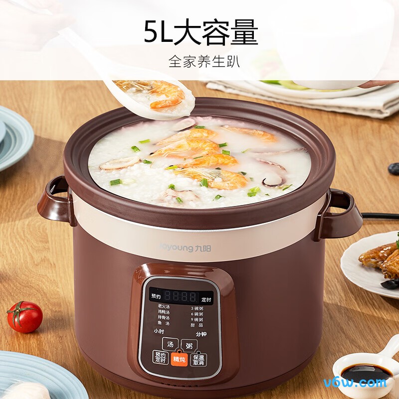 九阳DG50Z-GD510电炖锅图片