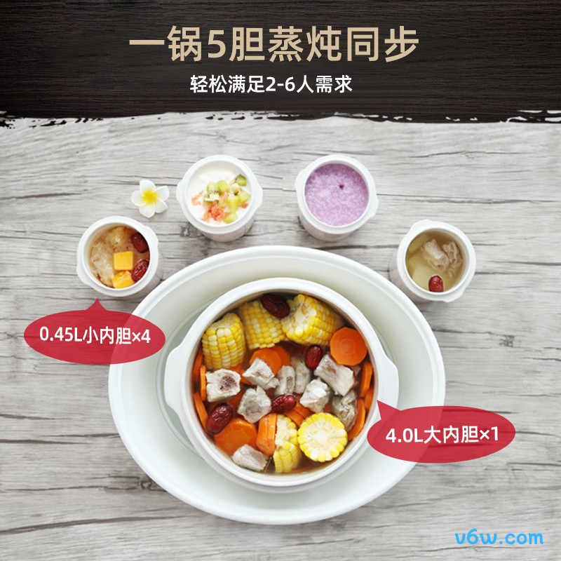 天际DGD40-40DWG电炖锅图片