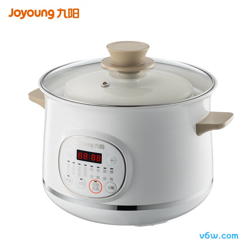 九阳DG25G-GD521电炖锅图片