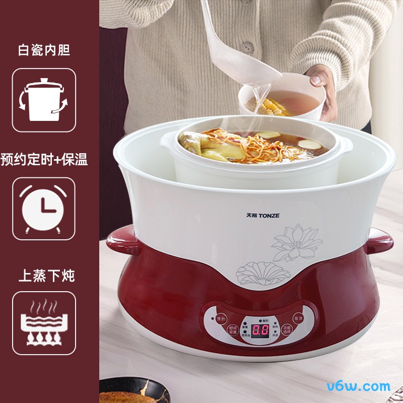 天际DGD40-40DWG电炖锅图片