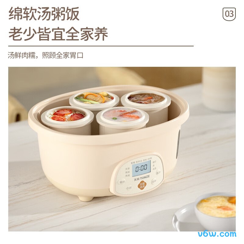 天际DGGD22A255BW电炖锅图片