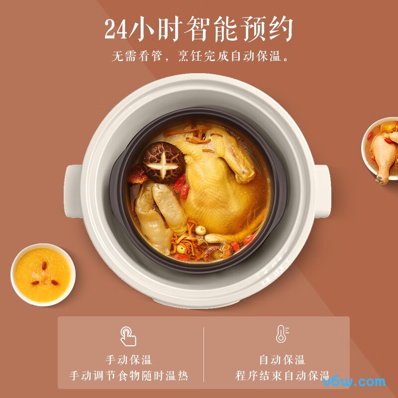 苏泊尔DZ25YC606电炖锅图片