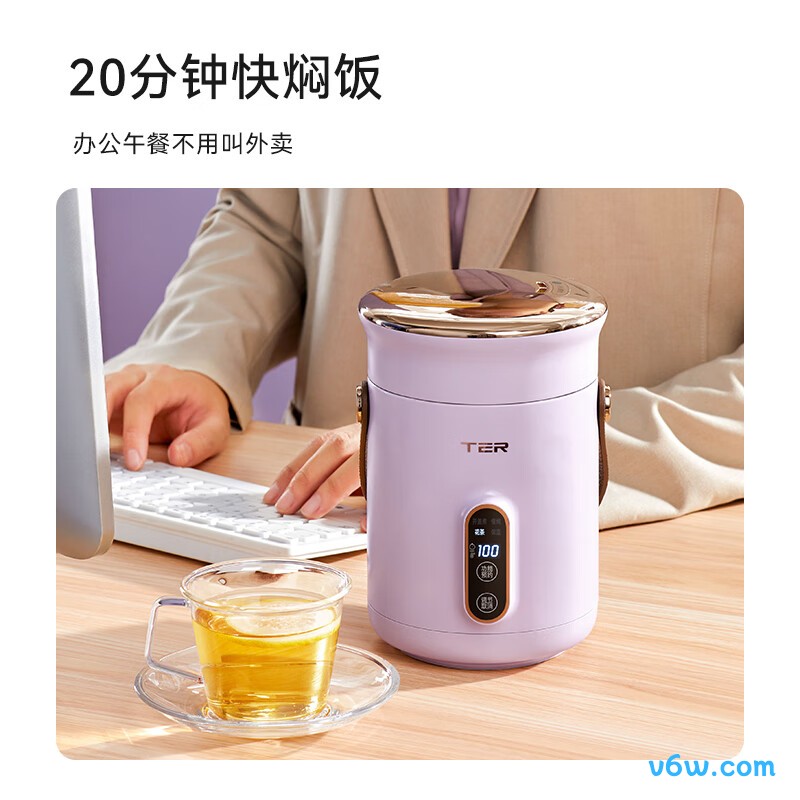 TERT-HG01电炖锅图片