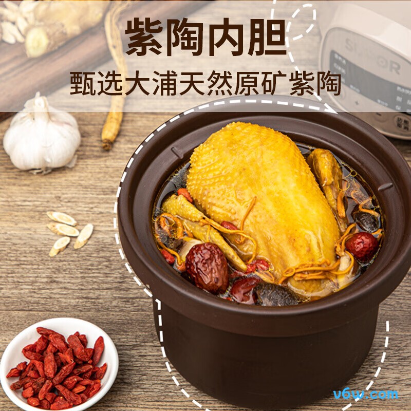 苏泊尔DG15YC618电炖锅图片