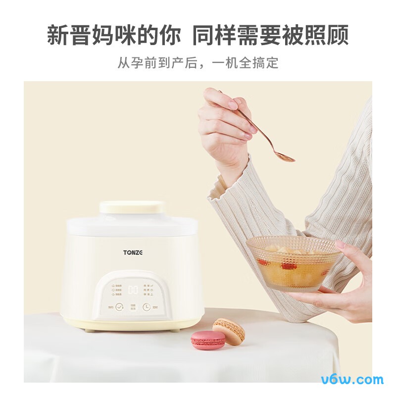 天际MY-DGD10AWG电炖锅图片