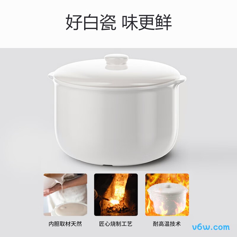 九阳DG25G-GD521电炖锅图片