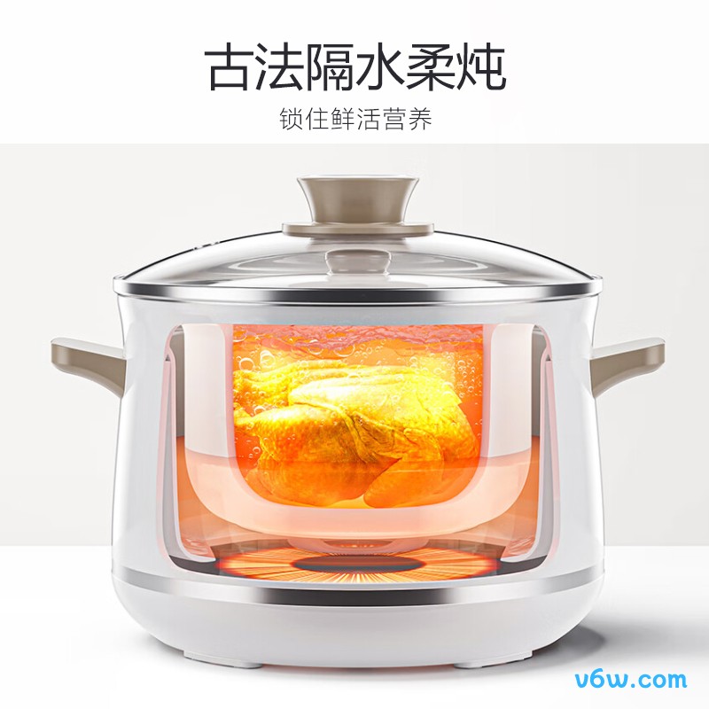 九阳DG25G-GD521电炖锅图片