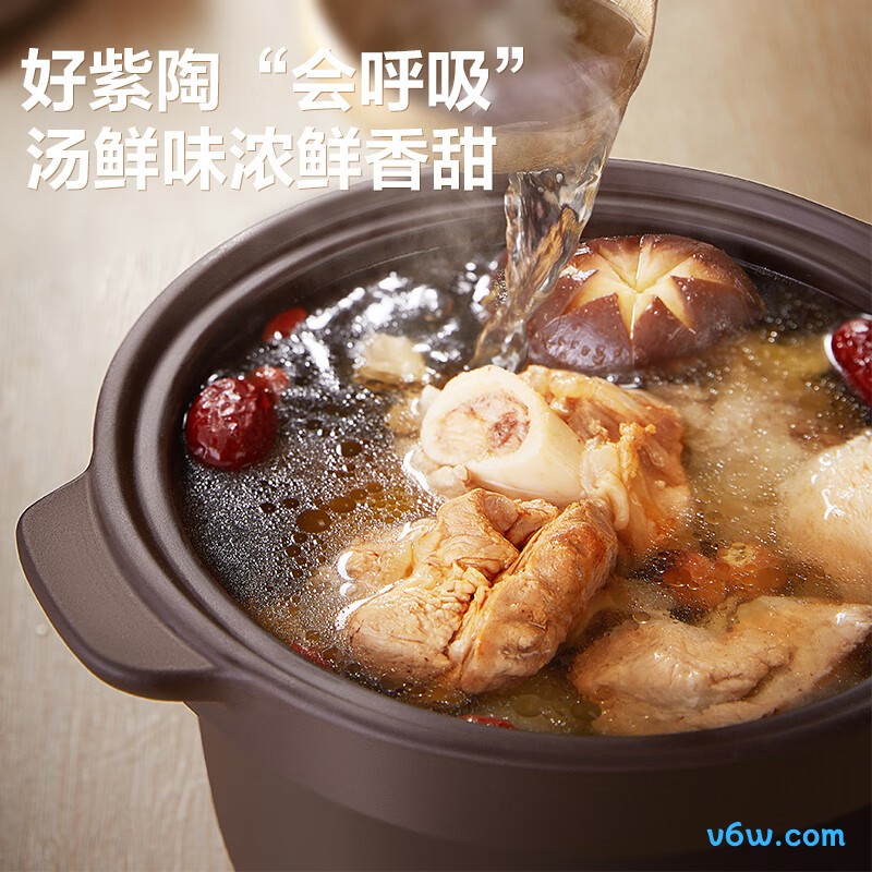 苏泊尔DG20YC815电炖锅图片