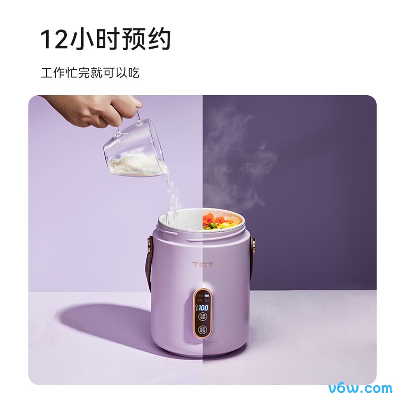 TERT-HG01电炖锅图片