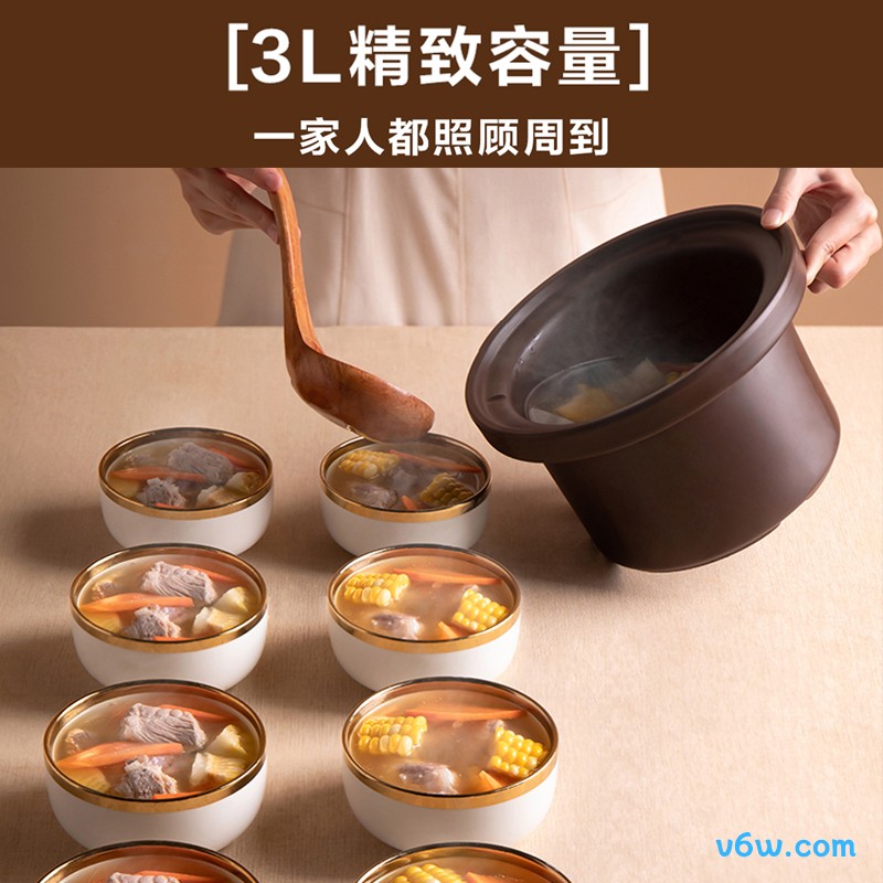 美的DG30E203电炖锅图片