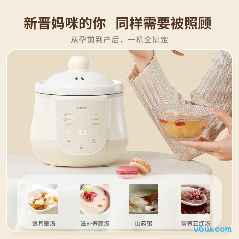 天际MY-DGD10AW电炖锅图片