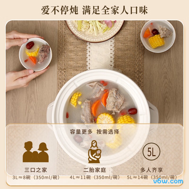 天际DGD50K22GC电炖锅图片