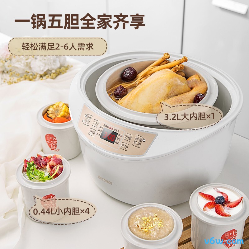 天际DGD32-W132B电炖锅图片