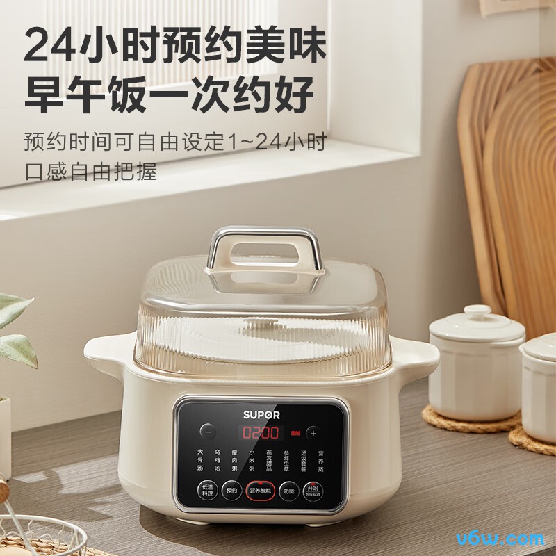 苏泊尔DZ25FC859电炖锅图片