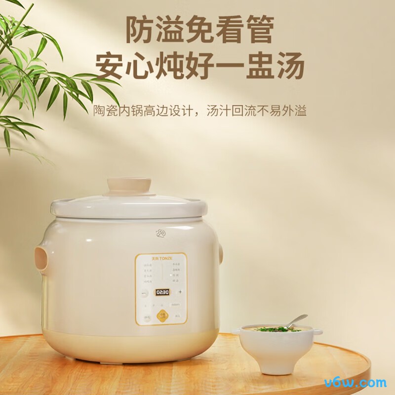 天际DGDD22B30BSGCW电炖锅图片