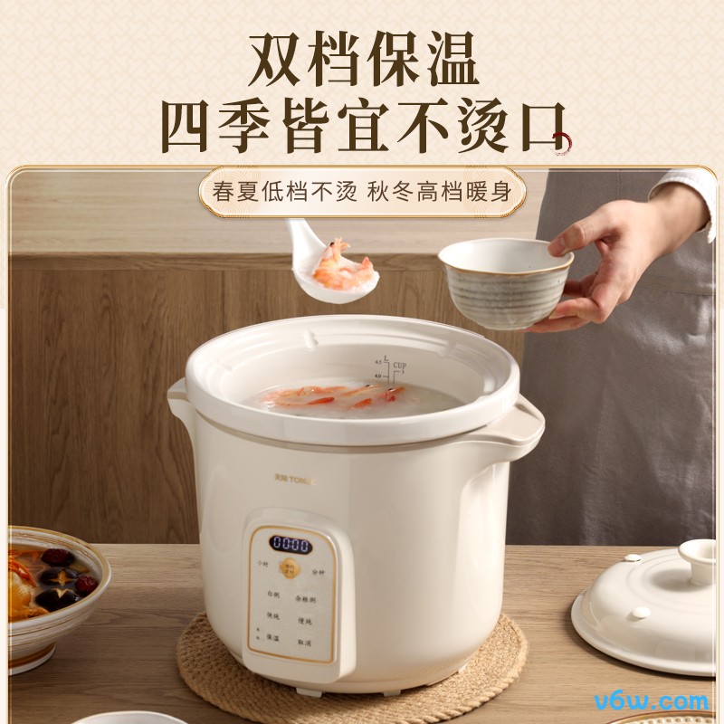 天际DGD50K22GC电炖锅图片