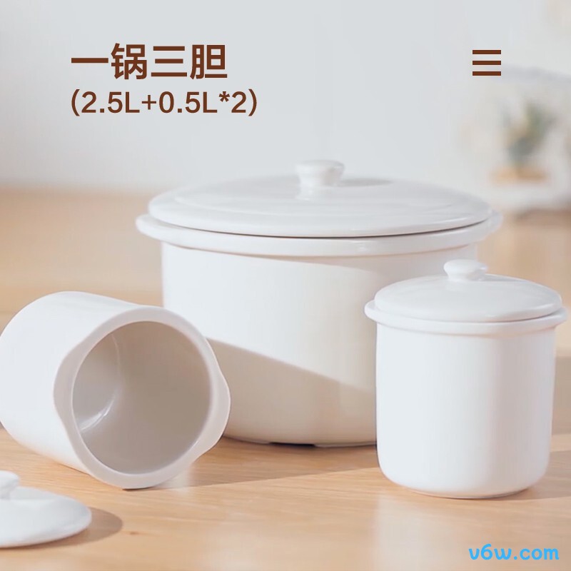 苏泊尔DZ25YC831电炖锅图片