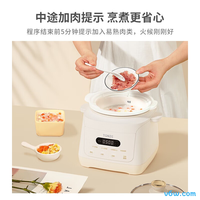 天际MY-DGD13AW电炖锅图片