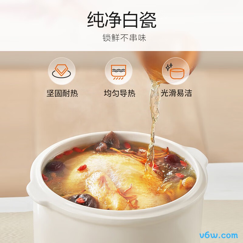 九阳DG25G-GD166电炖锅图片