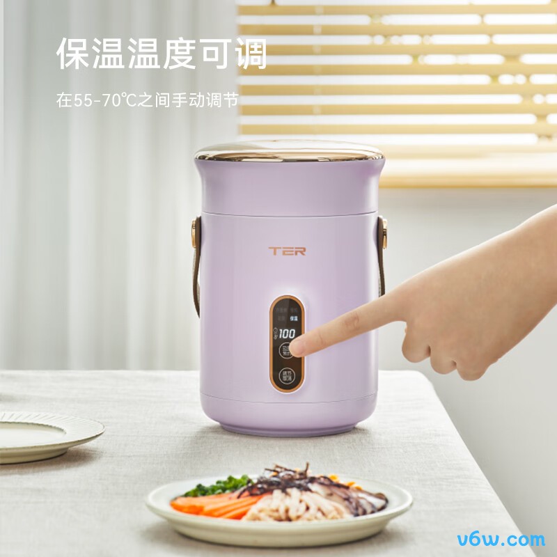 TERT-HG01电炖锅图片