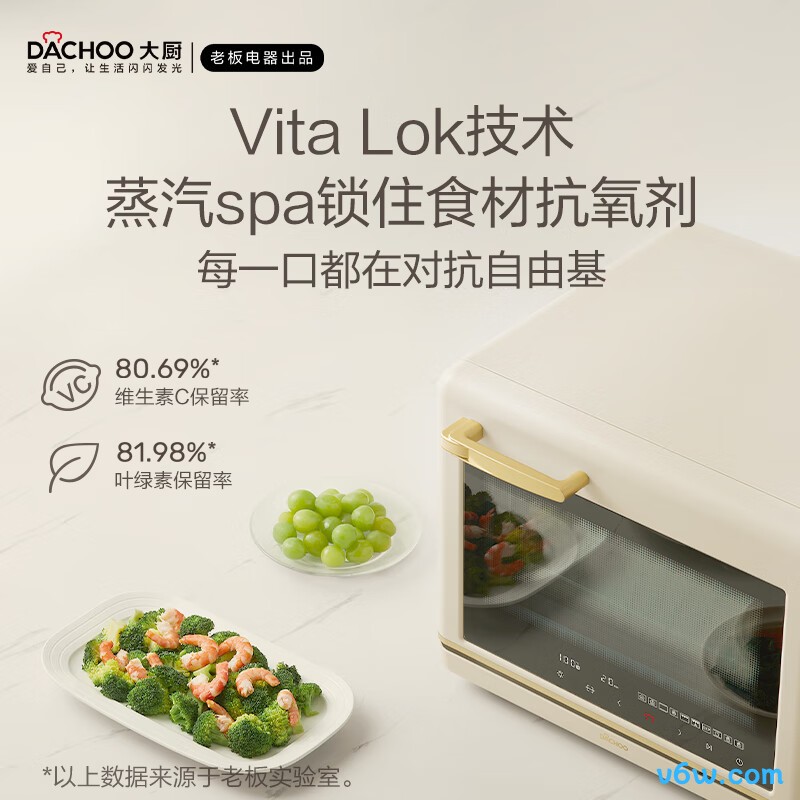 大厨KZTS-30-DB613电烤箱图片