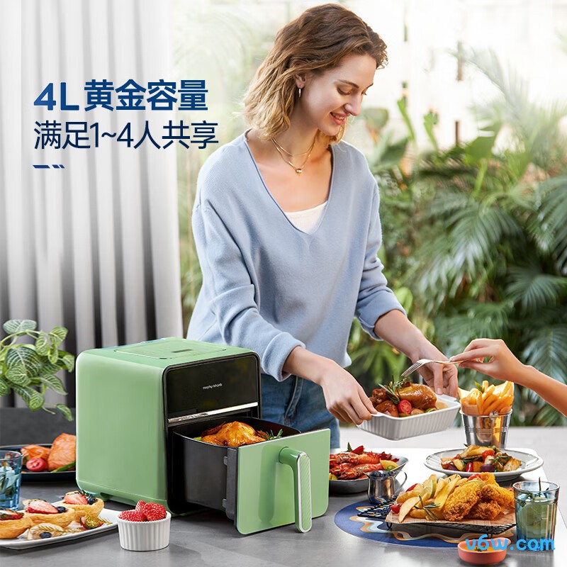 摩飞电器MR8101空气炸锅图片
