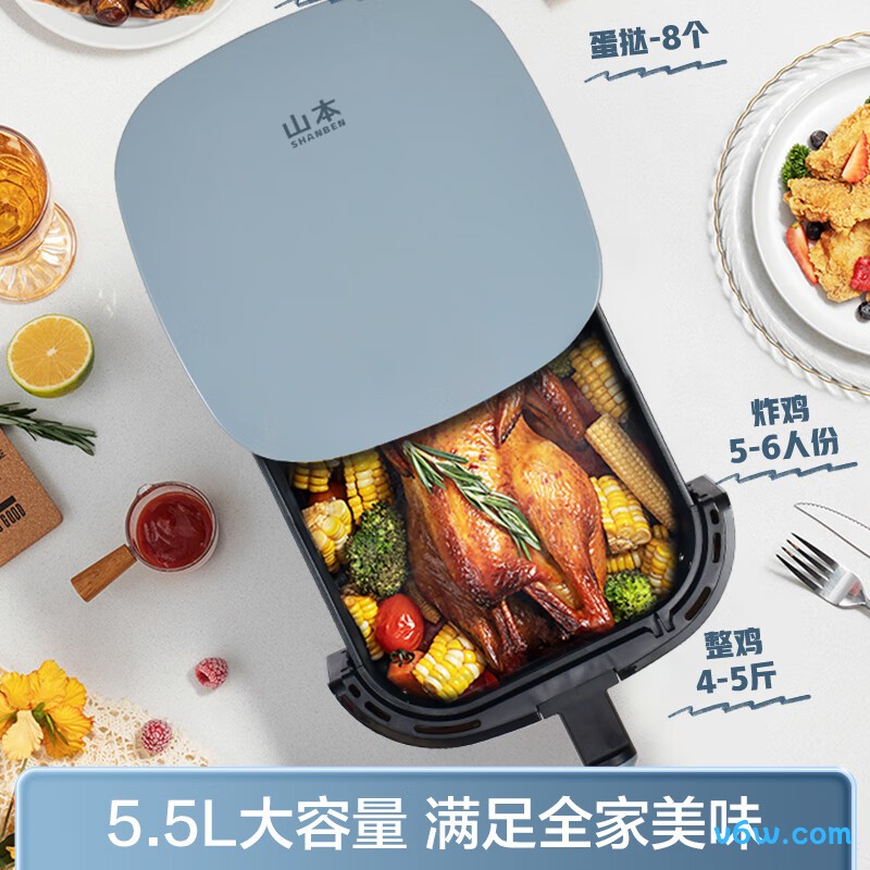 山本8109vs空气炸锅图片