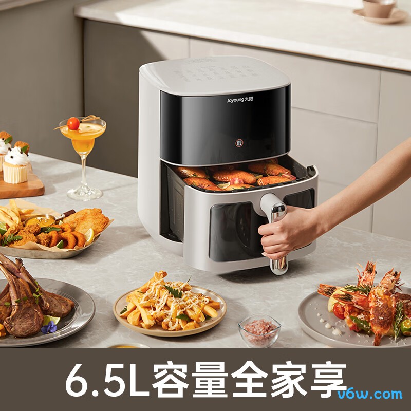 九阳KL65-V572空气炸锅图片