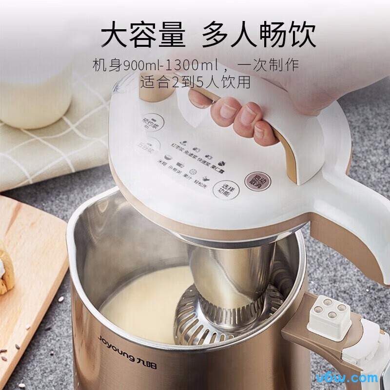 九阳DJ13B-D81SG豆浆机图片