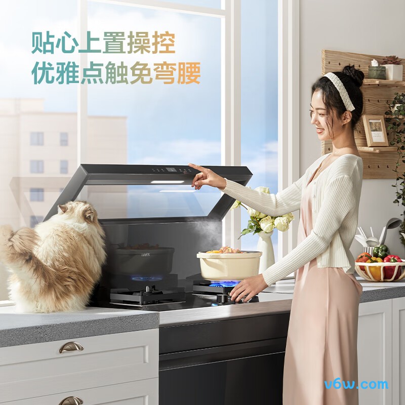 美的DT08集成灶图片