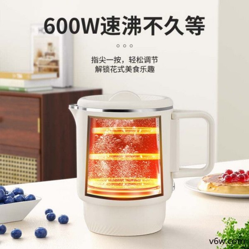 LOYK-3005A电热水壶图片