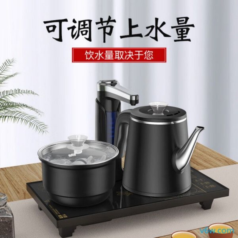 容声RS-C591电热水壶图片