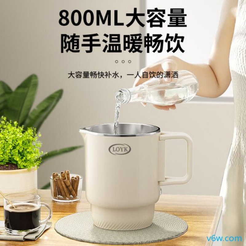 LOYK-3005A电热水壶图片