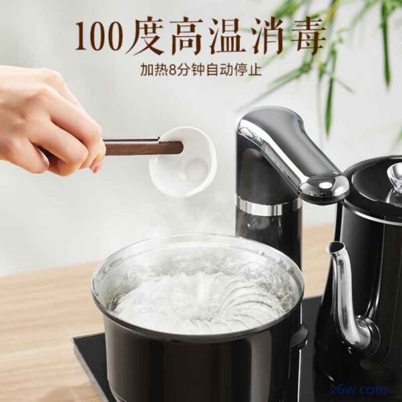 苏泊尔SW-08C13煮茶器图片