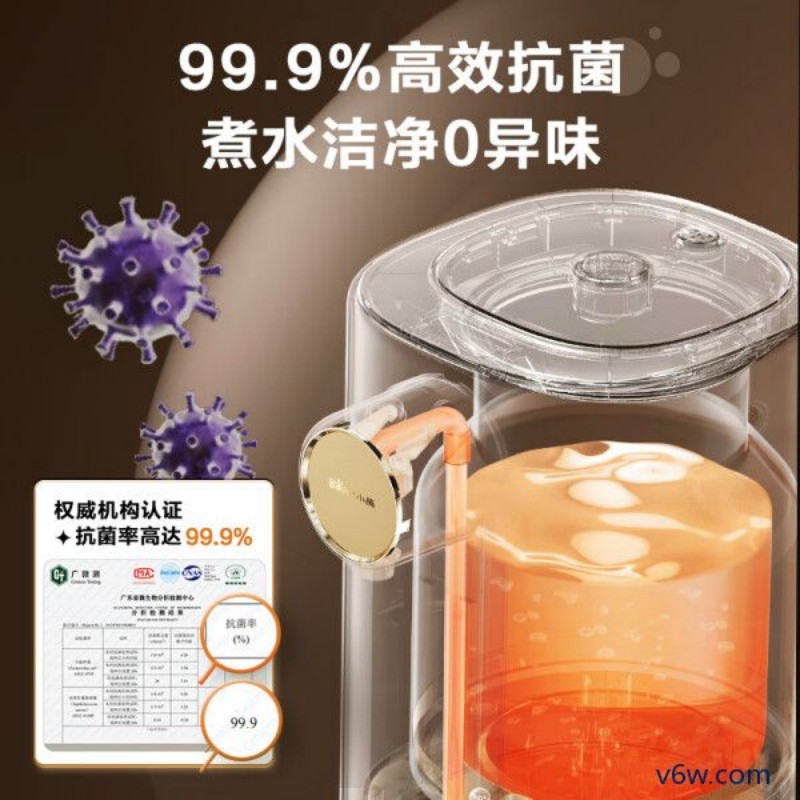 小熊ZDH-H50R6电热水壶图片