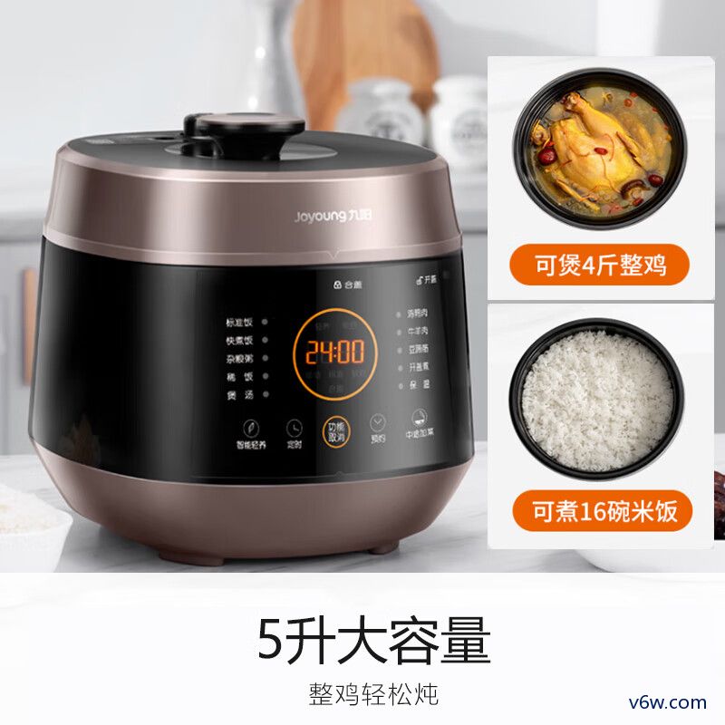 九阳Y-50C82电压力锅图片