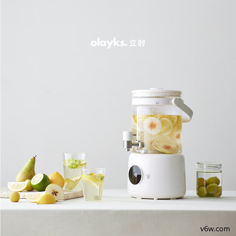 欧莱克OLK-K06养生壶图片