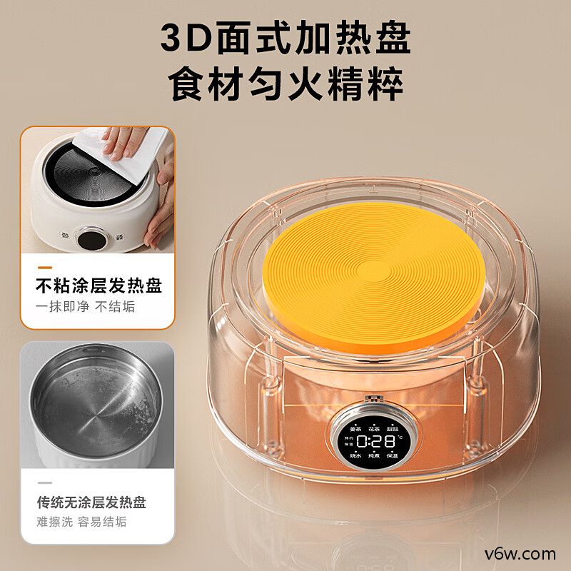 LOTOR-D11养生壶图片