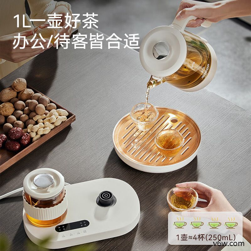 九阳15WY1J养生壶图片