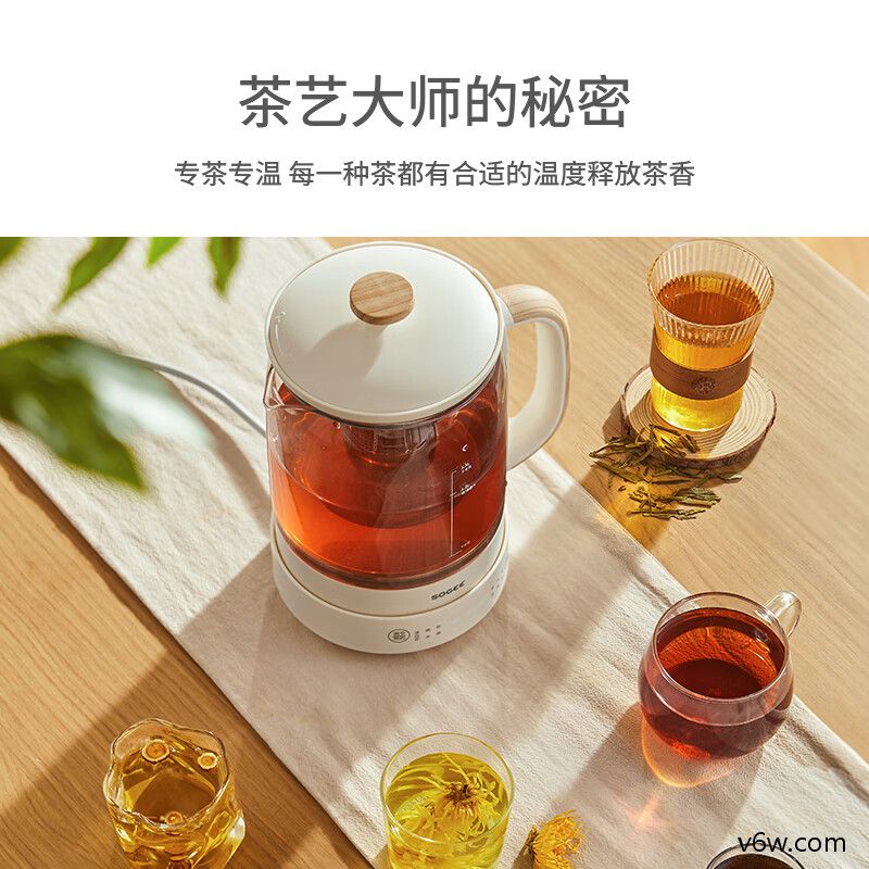 小质YSH02养生壶图片