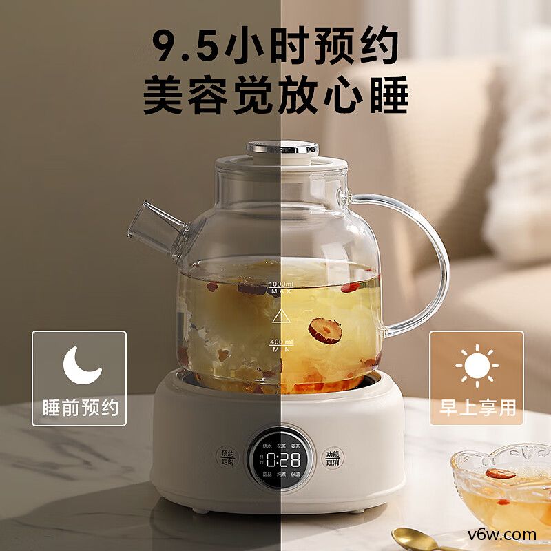 LOTOR-D11养生壶图片