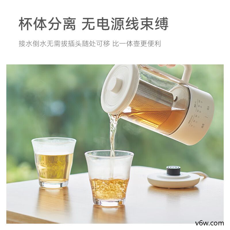 大宇IC01养生壶图片