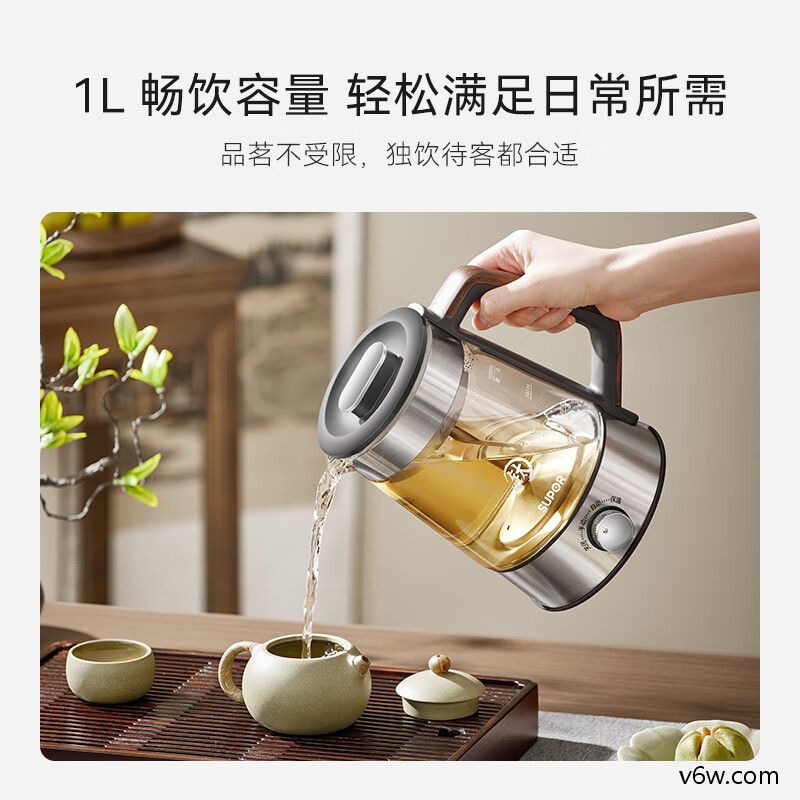 九阳18WY2R养生壶图片