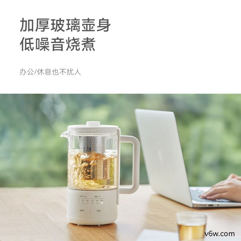 大宇IC01养生壶图片