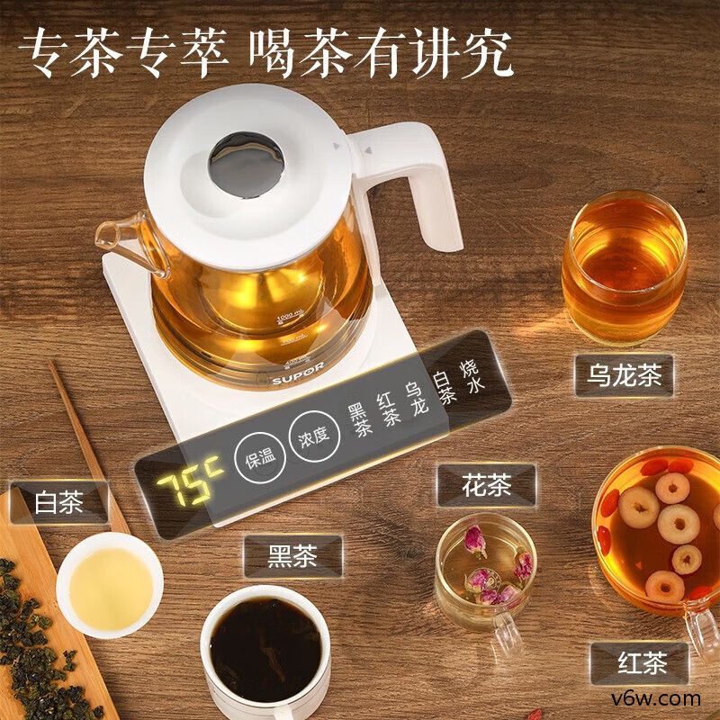 九阳K15F-WY175养生壶图片