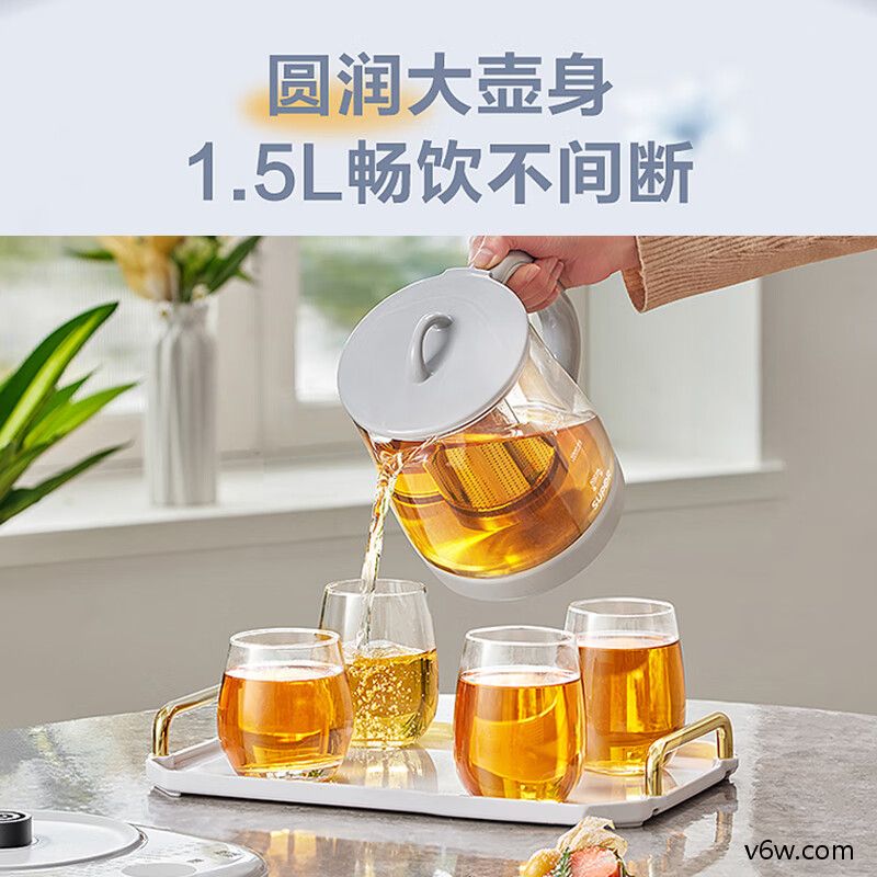 苏泊尔SW-15YJ03养生壶图片