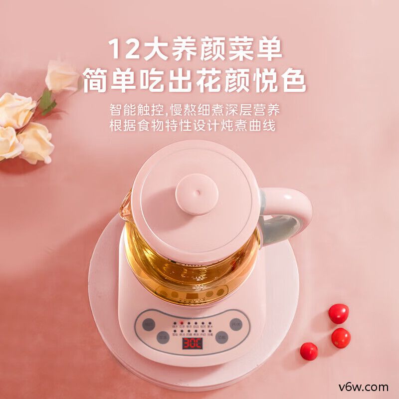 美的YS15M211养生壶图片