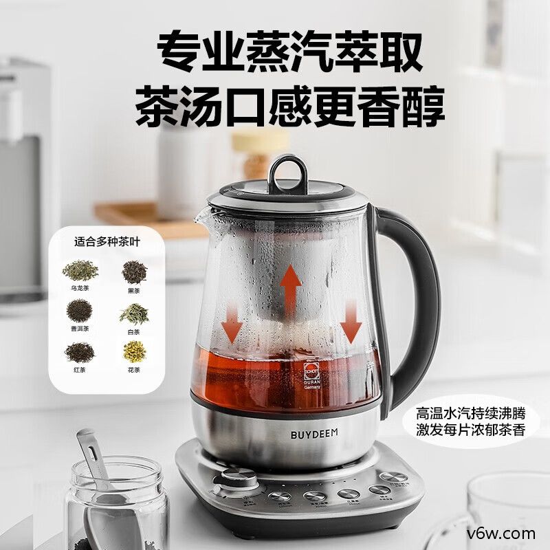 志高DC-5B04养生壶图片