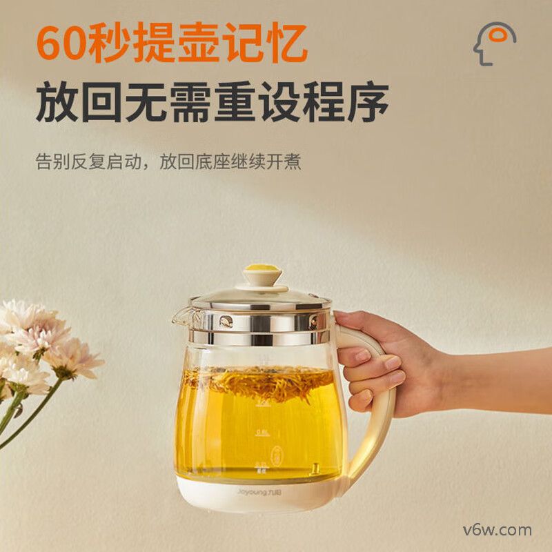 OIDIREODI-NNB03养生壶图片