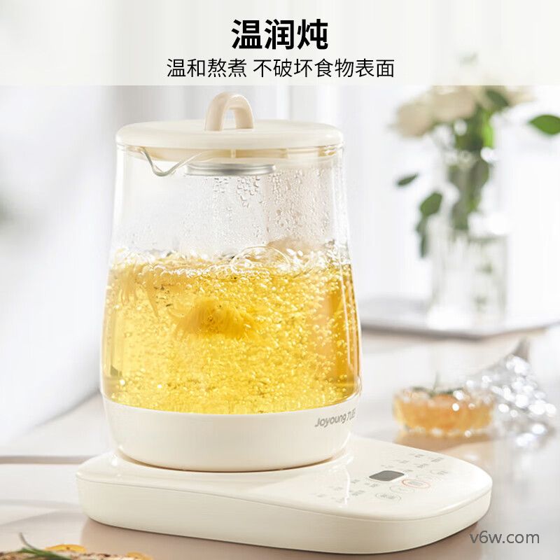 志高HG-Q02B养生壶图片